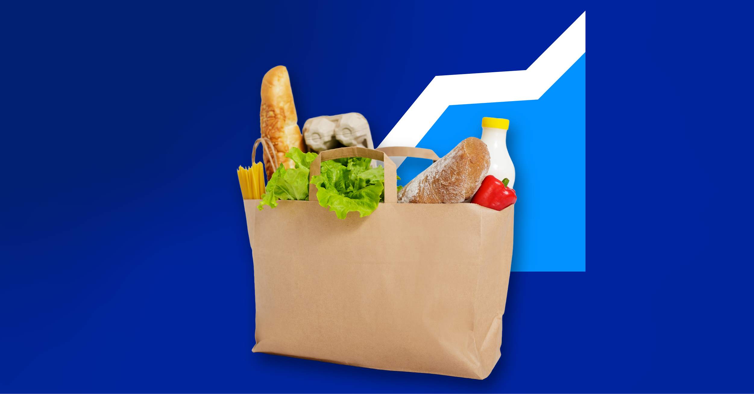 Grocery Shop Delivery Services